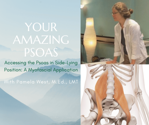 Your Amazing Psoas: A Myofascial Application - May 21, 2022