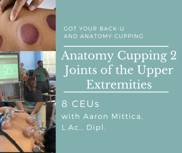 Anatomy Cupping Level 2: Upper Extremities - December 11, 2022