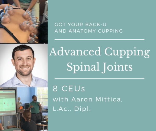 Advanced Cupping: Spinal Joints - October 1, 2022